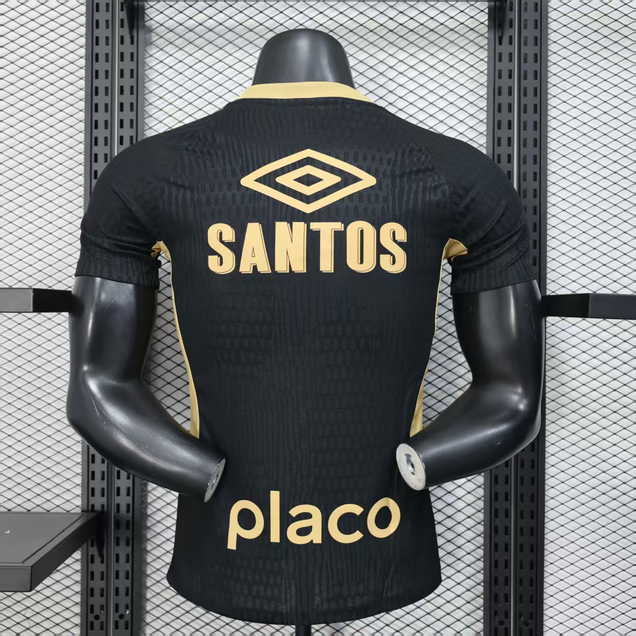 SANTOS ID10